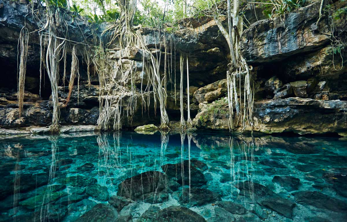 Cenote X-Batun, Yucatán — turquoise water and hanging roots